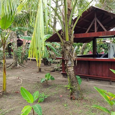 Gecko De Tortuguero Bed and Breakfast Buitenkant foto