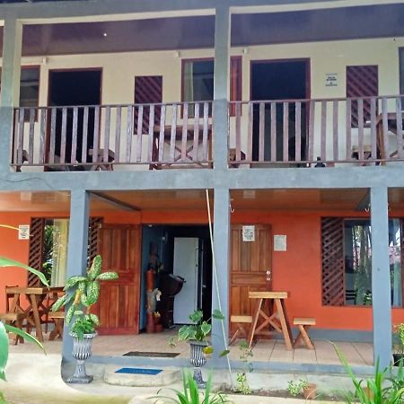 Gecko De Tortuguero Bed and Breakfast Buitenkant foto
