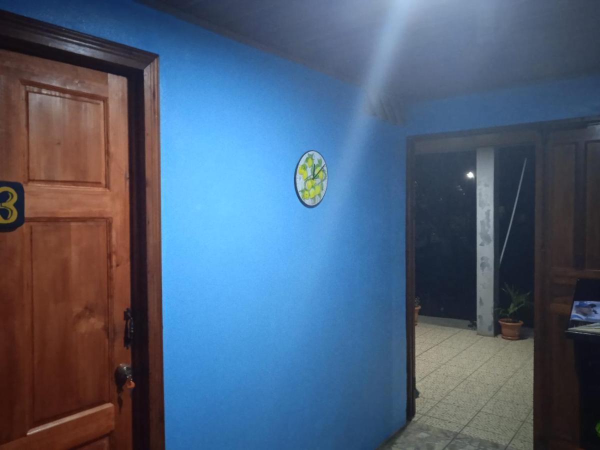 Gecko De Tortuguero Bed and Breakfast Buitenkant foto