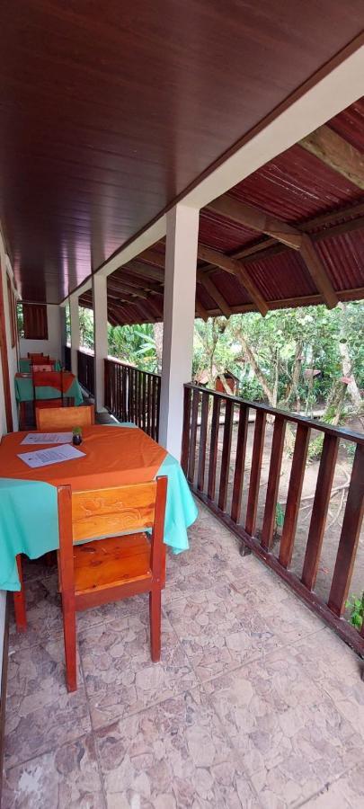 Gecko De Tortuguero Bed and Breakfast Buitenkant foto
