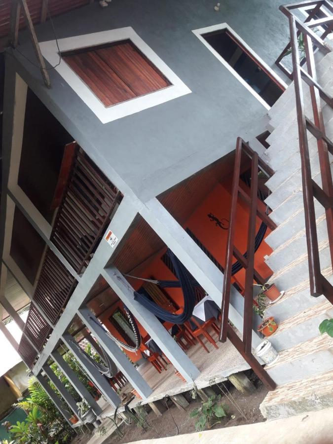 Gecko De Tortuguero Bed and Breakfast Buitenkant foto