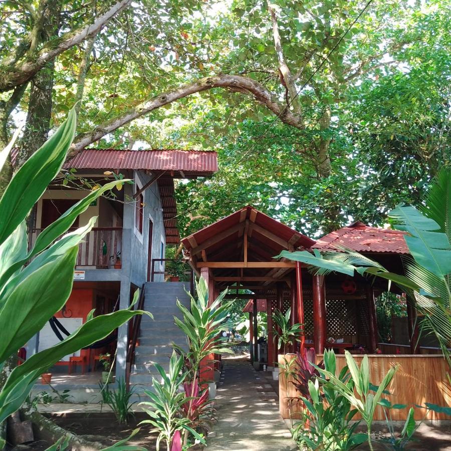 Gecko De Tortuguero Bed and Breakfast Buitenkant foto