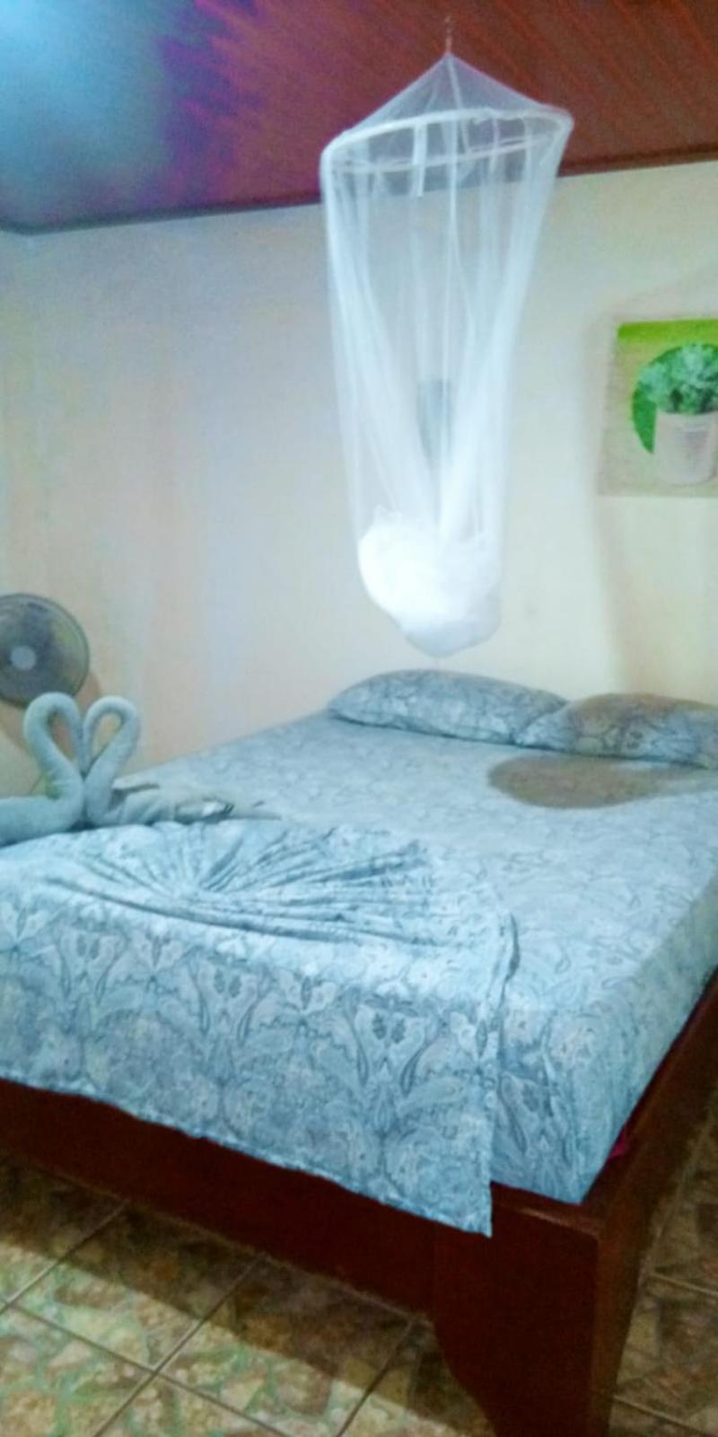 Gecko De Tortuguero Bed and Breakfast Buitenkant foto