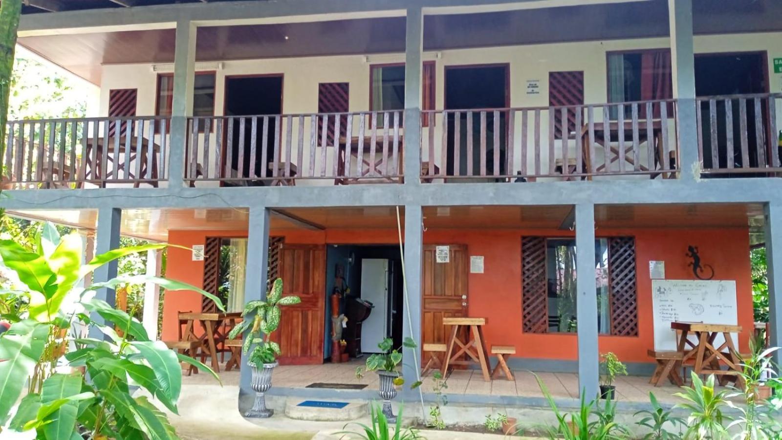 Gecko De Tortuguero Bed and Breakfast Buitenkant foto