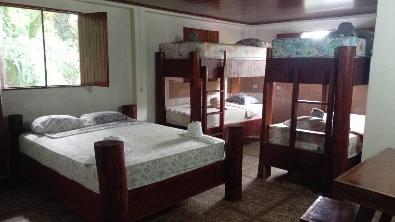 Gecko De Tortuguero Bed and Breakfast Buitenkant foto