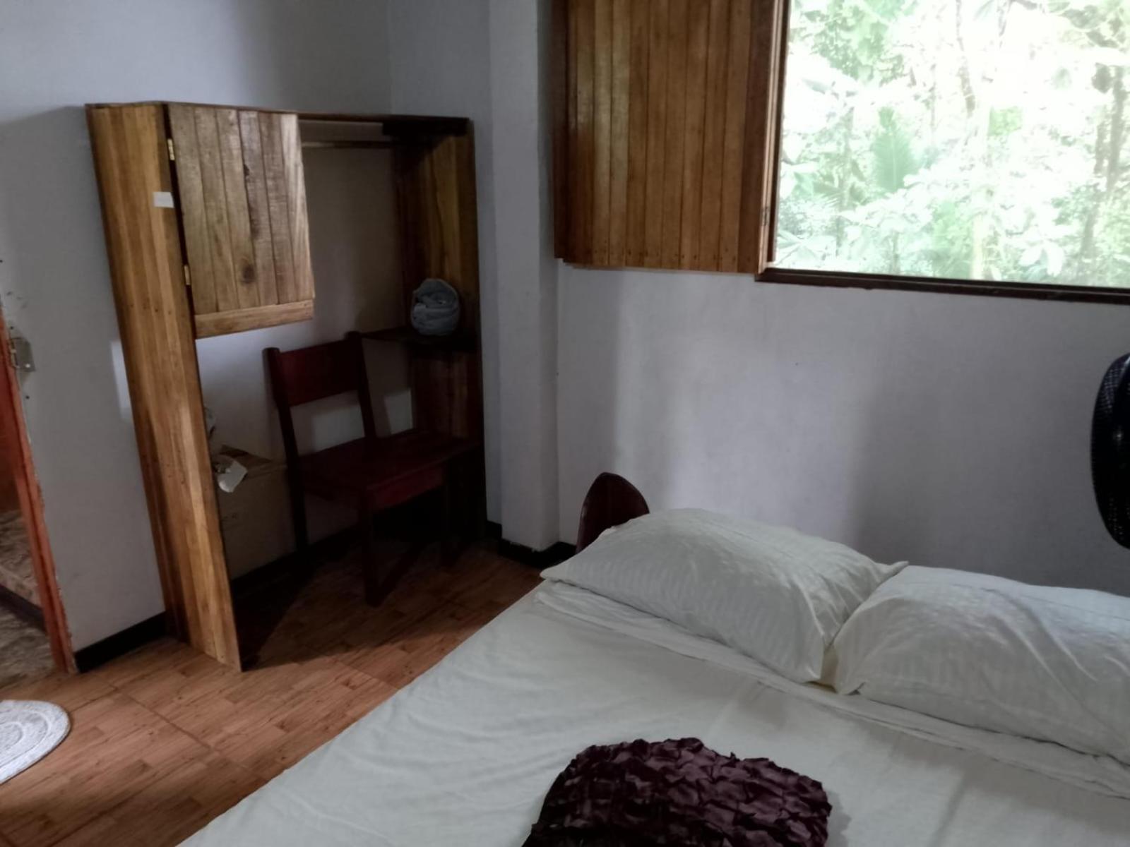 Gecko De Tortuguero Bed and Breakfast Buitenkant foto