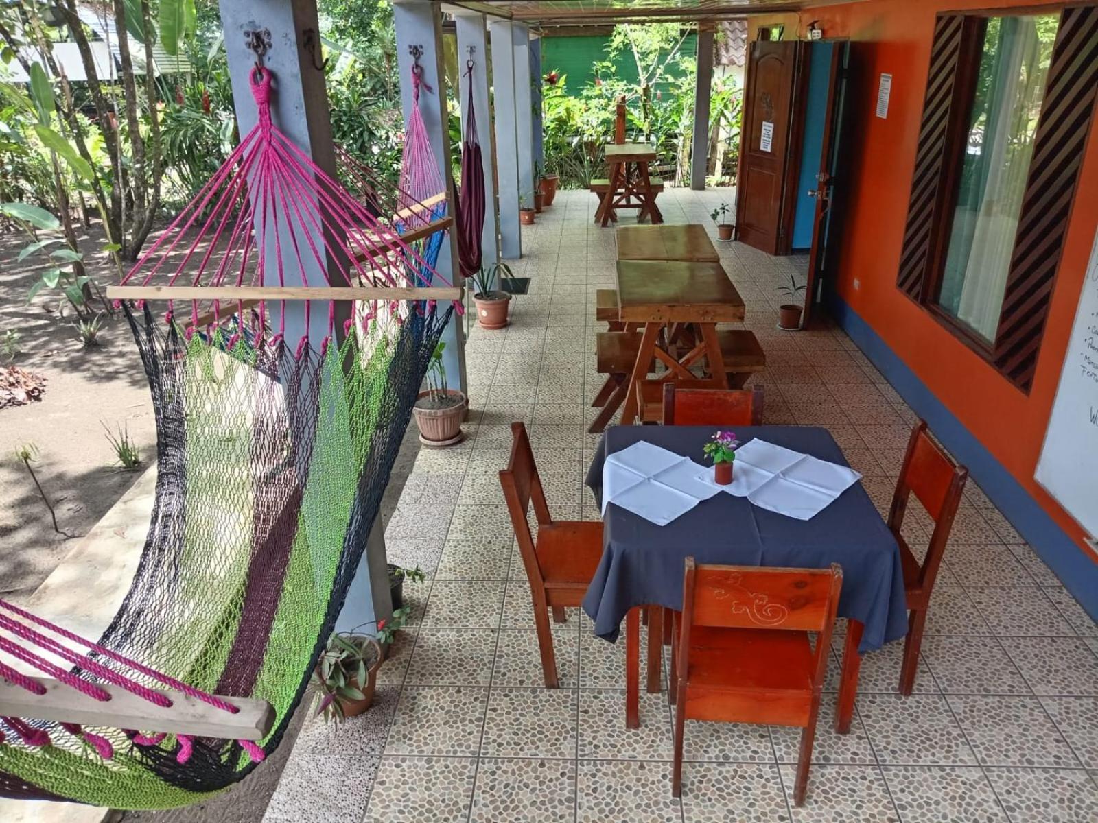 Gecko De Tortuguero Bed and Breakfast Buitenkant foto