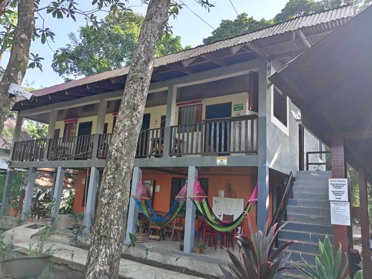 Gecko De Tortuguero Bed and Breakfast Buitenkant foto