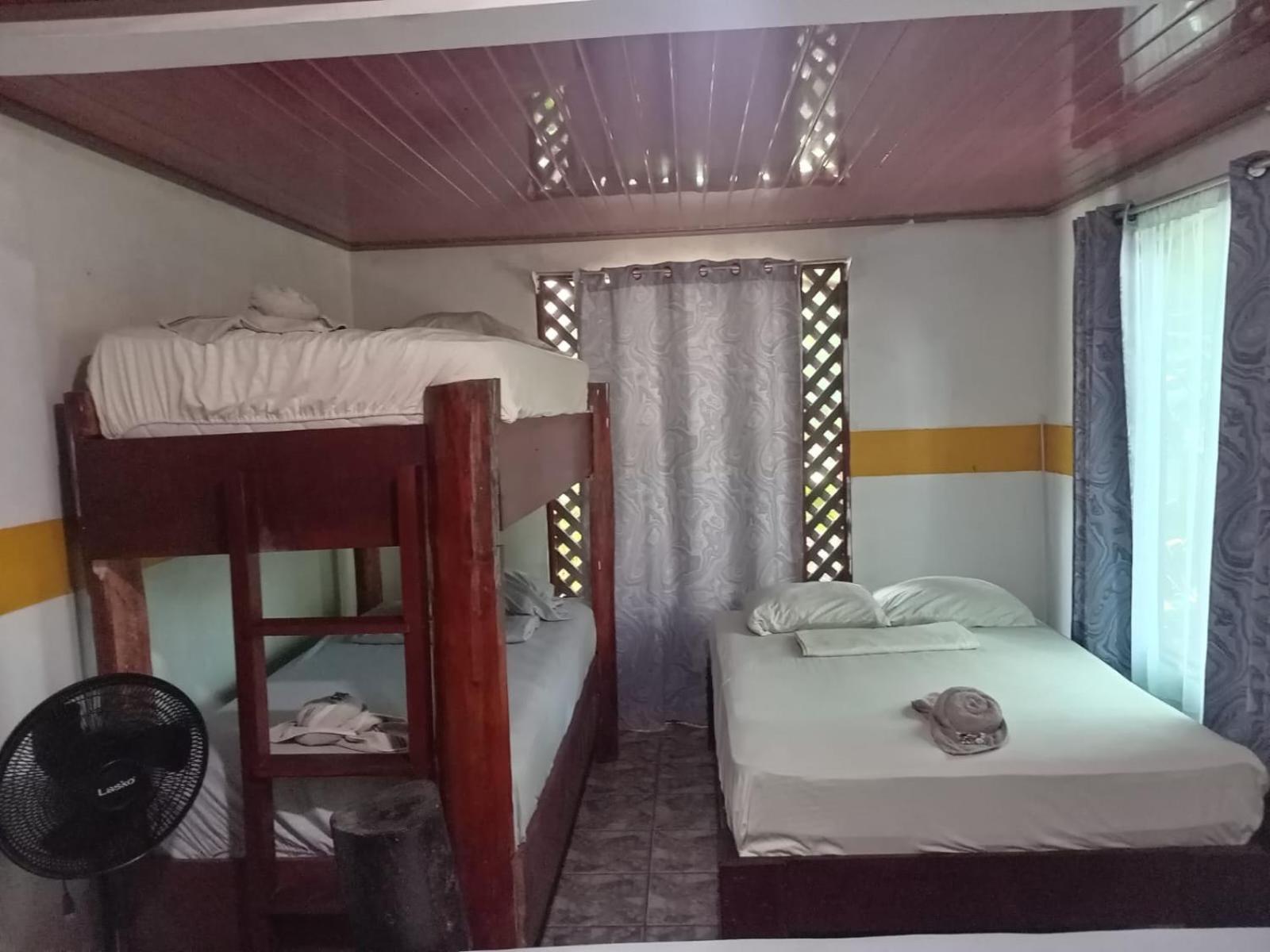 Gecko De Tortuguero Bed and Breakfast Buitenkant foto